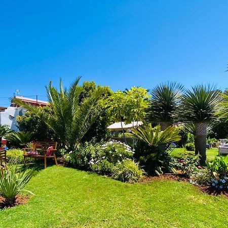 Casa Diego Tegueste المظهر الخارجي الصورة
